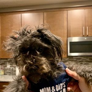 Meet your Posher, Lillian